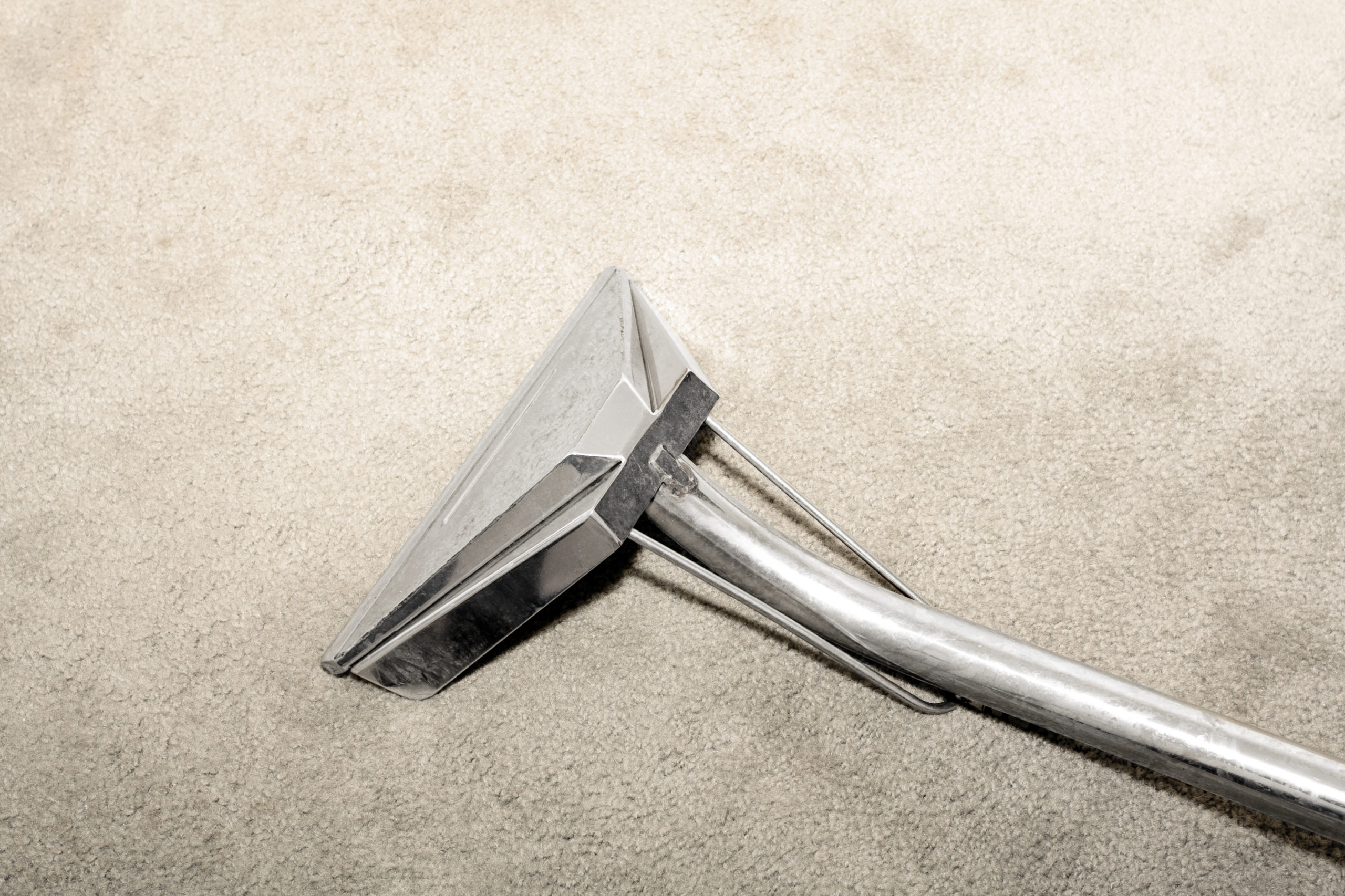 Steam Carpet cleaning wand on carpeting